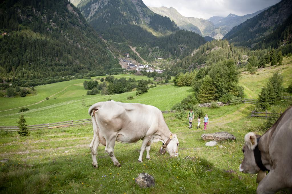 Hotel Schoelzhorn Superior Racines Luaran gambar